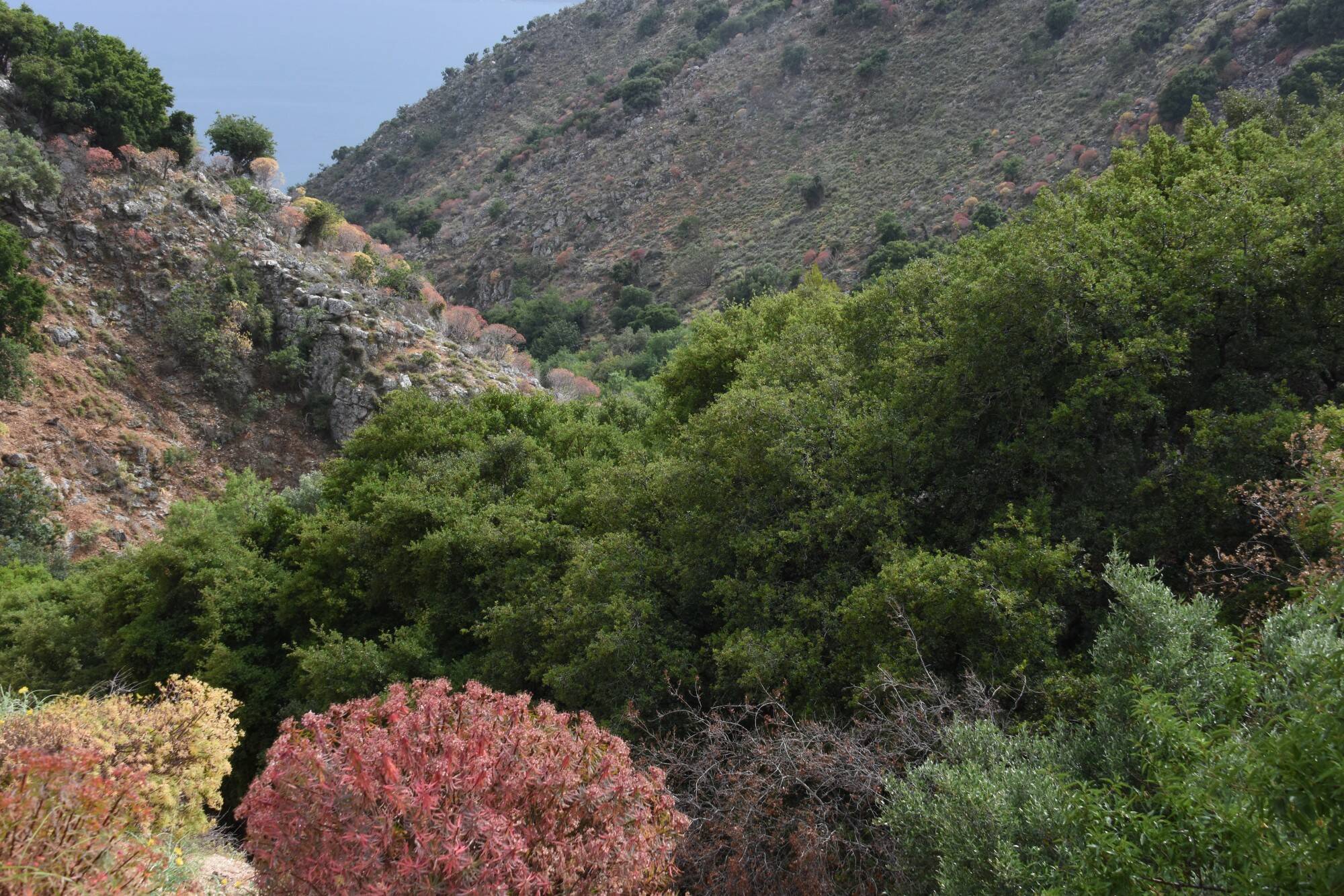 Βούλισα (Φαρσών‐∆αγάτων‐∆ιλινάτων‐ Κουρουκλάτων)